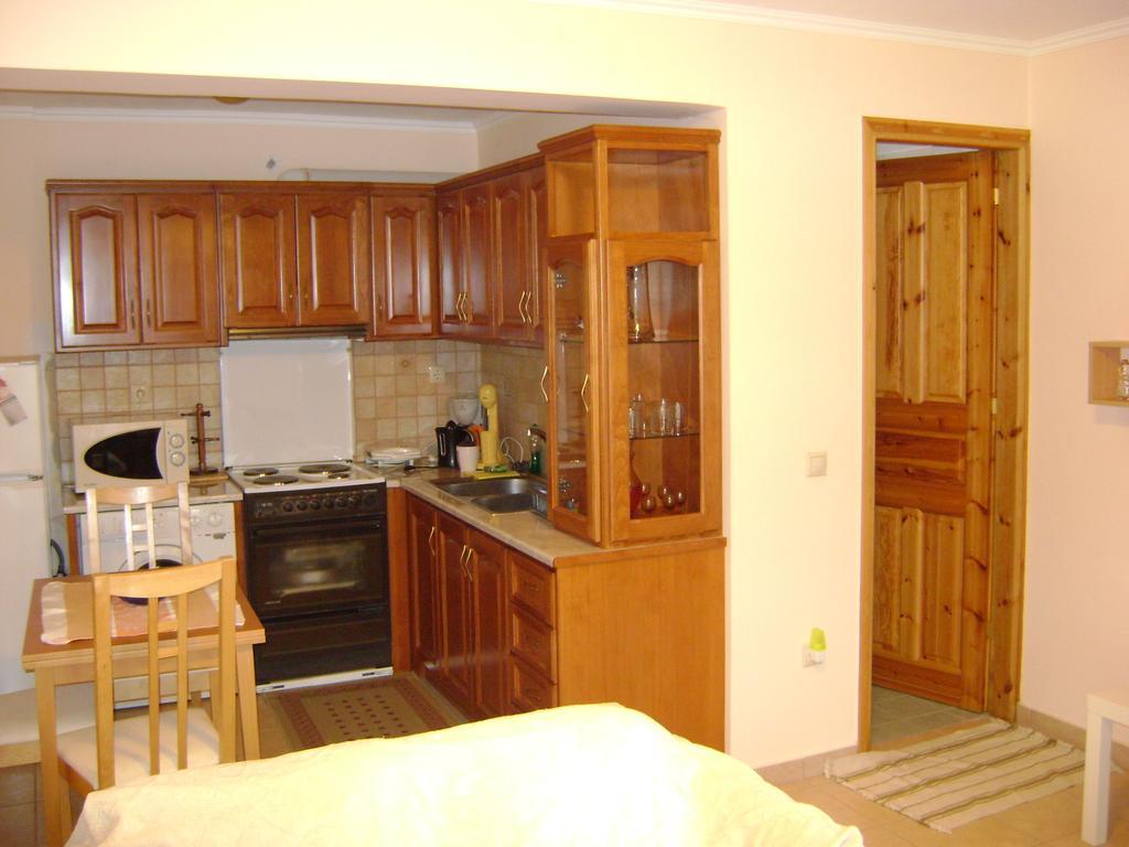 Lefkáda Spiro'S Apartment חדר תמונה